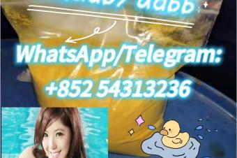 Hot Selling Raw Material 5cl5cl Adb 852 54313236