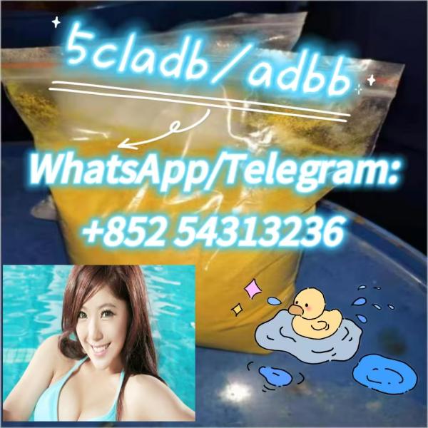 Yellow powder cannabinoid 5cladba 5CLADBA 5cladba 852 54313236
