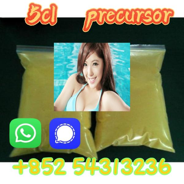 Sample order free 5cladb 5cladba adbb 5cl 852 54313236