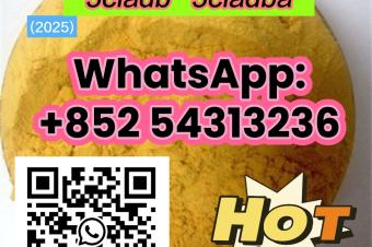 Sample order free 5cladb 5cladba adbb 5cl 852 54313236