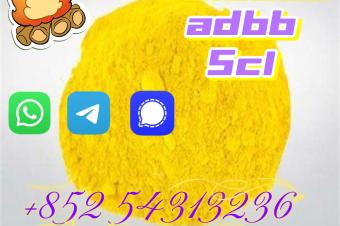 Precusor 5CL 5cladb ADBB 5cladba  852 54313236