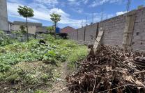 TERRAIN À VENDRE À NGALIEMA QUARTIER RÉSIDENTIEL  mediacongo