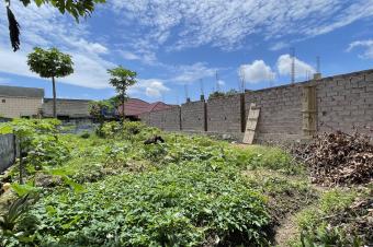 TERRAIN  VENDRE  NGALIEMA QUARTIER RSIDENTIEL 