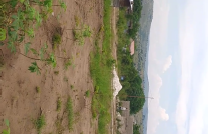 vente d'un terrain mediacongo