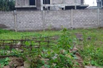 Terrain  vendre cltur bien situe sur macadam  NgaliemaBinza pigeon 