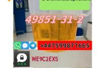 CAS 49851-31-2 α-Bromovalerophenone mediacongo