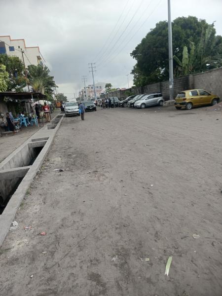 Parcelle  vendre dans la Commune de kasavubu sur lavenue lisala 