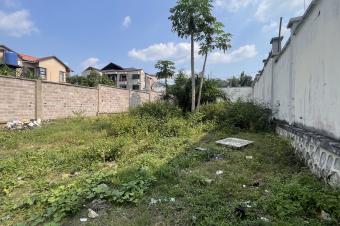 TERRAIN  VENDRE  NGALIEMA 