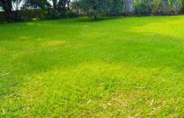 TERRAIN À VENDRE À NGALIEMA,binza  mediacongo