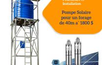 Promotion forage  mediacongo