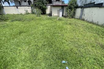TERRAIN  VENDRE  NGALIEMA PIGEON