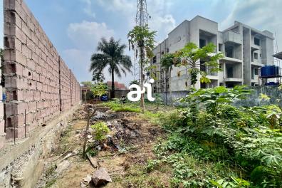 immobilier_vente_location AlainImmo  