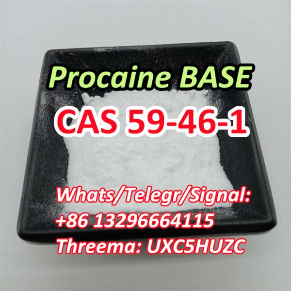 Procaine CAS 59461 59 46 1 Purity 99