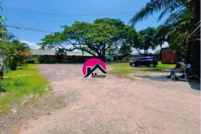 immobilier_vente_location Misterimmordc  