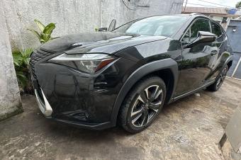 Lexus UX250