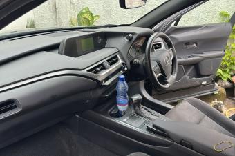 Lexus UX250