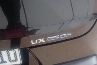 Lexus UX250