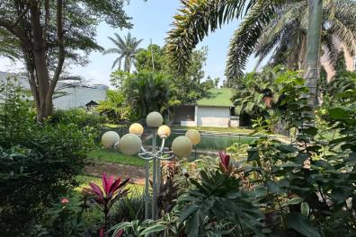 immobilier_vente_location Mme Mimi  