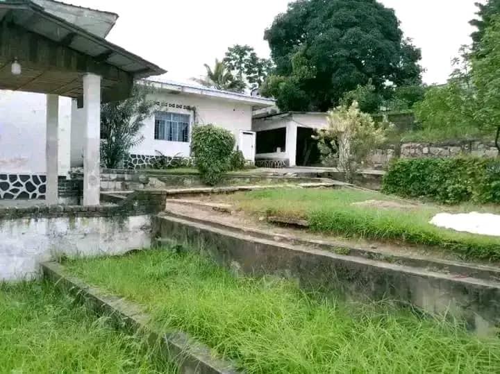 MAGNIFIQUE PARCELLE  VENDRE  NGALIEMA 