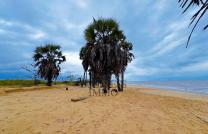 OPPORTUNITÉ UNIQUE D’INVESTISSEMENT : LA VENTE D’UNE CONCESSION EXCEPTIONNELLE DE ± 74 HECTARES, SOIT 740.000 M², EN BORD DE MER. mediacongo