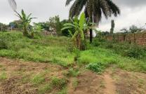 Des terrains à vendre à UPN sur macadam 20msur20 70000 dollars à discuter 15msur20 67000 dollars à discuter et moins que ça  mediacongo