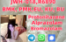 mediacongo