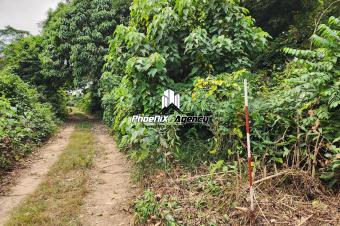 Vente  Morcellement des plusieurs terrains dans la commune de Ngaliema 