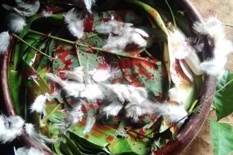 Comment russir sa vie et ce dbarrasser de ces ennemisdes blocages et les problmes spirituels.