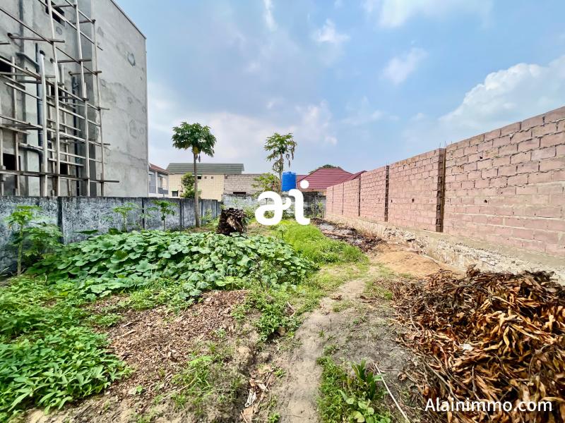 VENTE TERRAIN DE 377  KINSHASAPIGEON