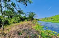 VENTE D’UNE SUPERBE CONCESSION DE ± 2,5 HECTARES DE TERRE AGRICOLE, TRAVERSÉE PAR UNE RIVIÈRE ET OFFRANT UN ACCÈS DIRECT SUR L’ASPHALTE, SITUÉE À KINSHASA - MALUKU  mediacongo