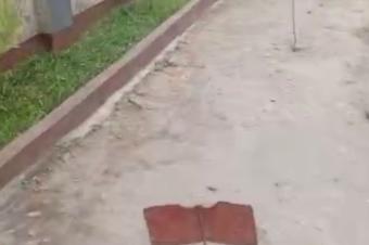 Vente parcelle usage rsidentiel  lingwala 