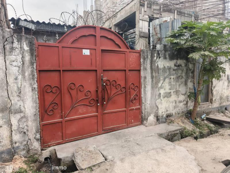 Parcelle en vente dote dune maison basse  Lemba 