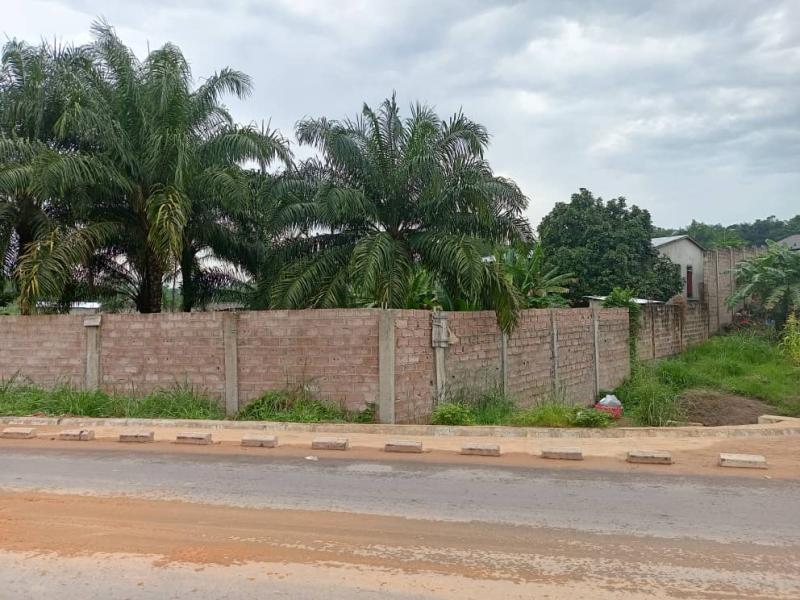 Concession cltur  vendre sur macadam  Ndjili brasserie 