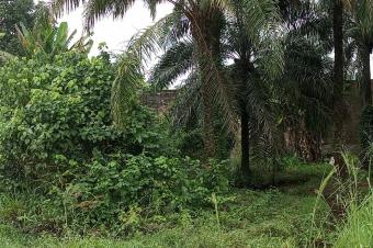 Concession cltur  vendre sur macadam  Ndjili brasserie 