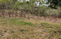 Terrain de 16msur17 à vendre à UPN 70000 dollars à discuter légèrement  mediacongo