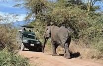 Dieu est plus grand que l’homme. Pourquoi contestes-tu avec lui ? car d’aucune de ses actions il ne rend compte. Job 33. 12-13 mediacongo