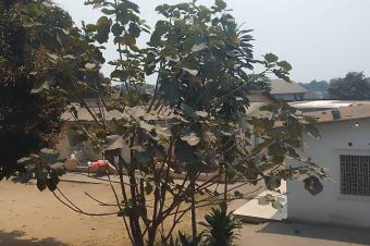 Terrain mis en vente dans la commune de ngaliema  rf cit des anciens combattants mesure 20m40m prix 450.000  discuter