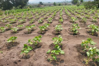 services_propositions_d_affaires kany  