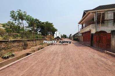 immobilier_vente_location Phoenix Agency  