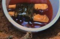 Retour affectif immédiat : retrouvez l’amour de votre vie sans attendre mediacongo