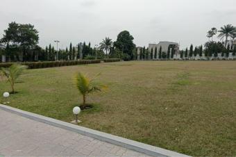 GRANDE PARCELLE  VENDRE   BINZA PIGEONNGALIEMA 