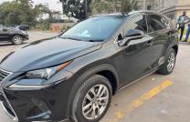 Lexus NX 300h mediacongo