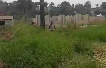 Parcelle (Terrain) à Kinkole, 1 hectare, 130.000$ mediacongo