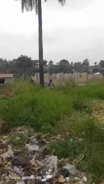 Parcelle Terrain  Kinkole 1 hectare 130.000