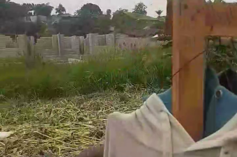 Parcelle Terrain  Kinkole 1 hectare 130.000