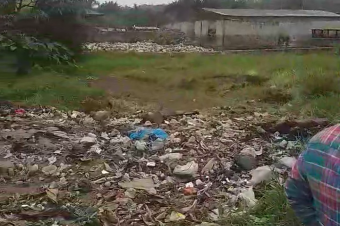 Parcelle Terrain  Kinkole 1 hectare 130.000