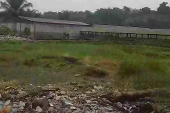 Parcelle Terrain  Kinkole 1 hectare 130.000