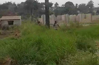 Parcelle Terrain  Kinkole 1 hectare 130.000