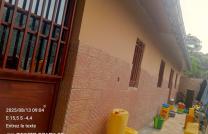 Parcelle 7x20m avec 2 portes locatives en vente à N’sele – Terre Jaune mediacongo