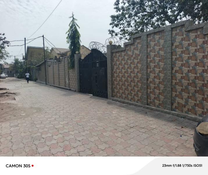 Vente dune villa spacieuse  annexe  Quartier Industriel Limete  